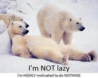 I am not lazy